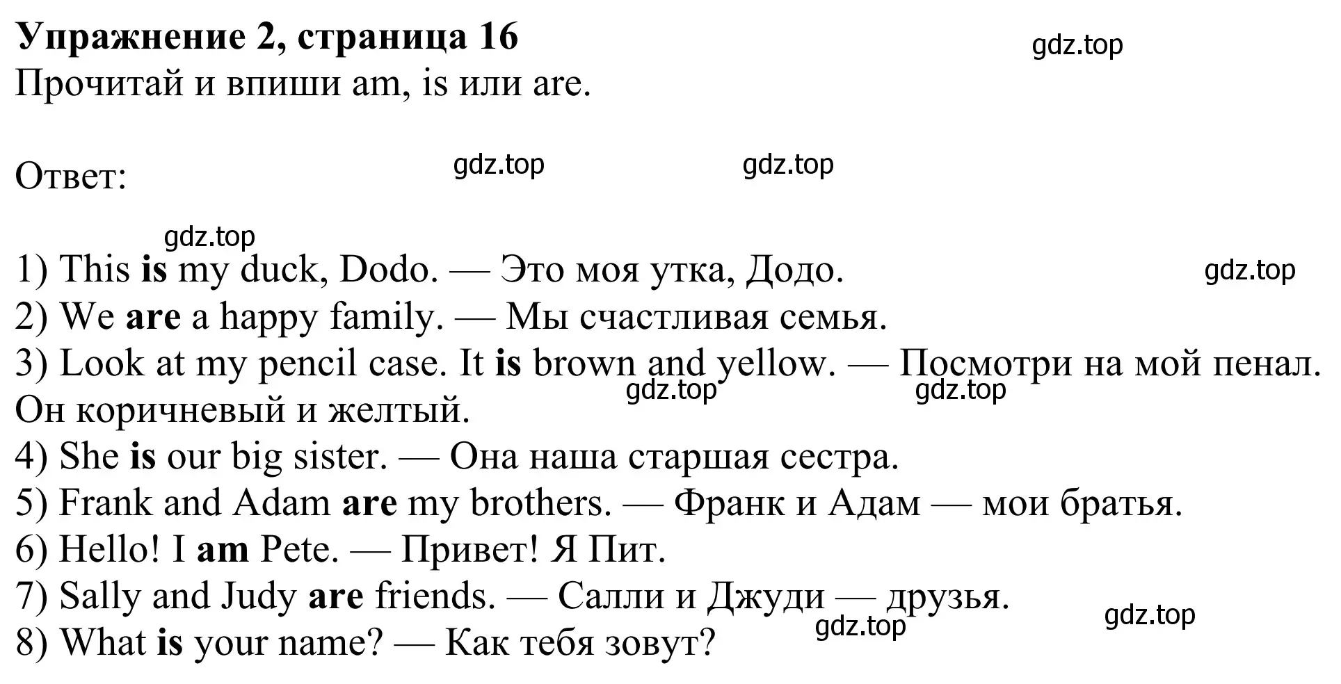 Решение 2. номер 2 (страница 16) гдз по английскому языку 3 класс Быкова, Дули, рабочая тетрадь