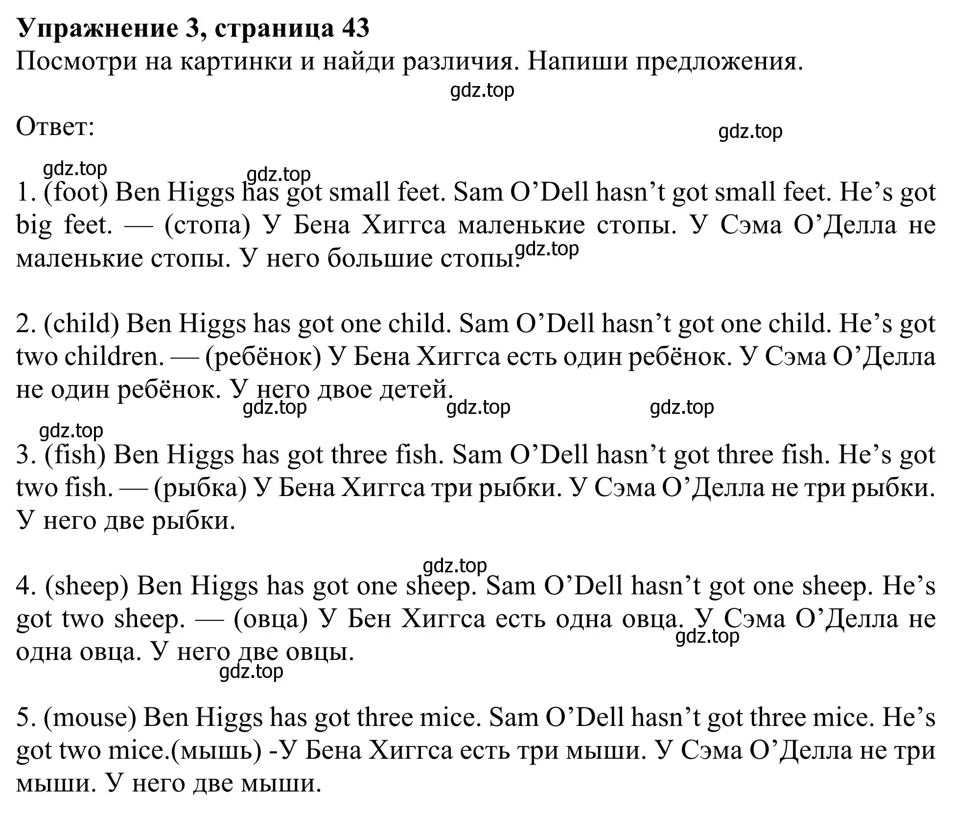 Решение 2. номер 3 (страница 43) гдз по английскому языку 3 класс Быкова, Дули, рабочая тетрадь