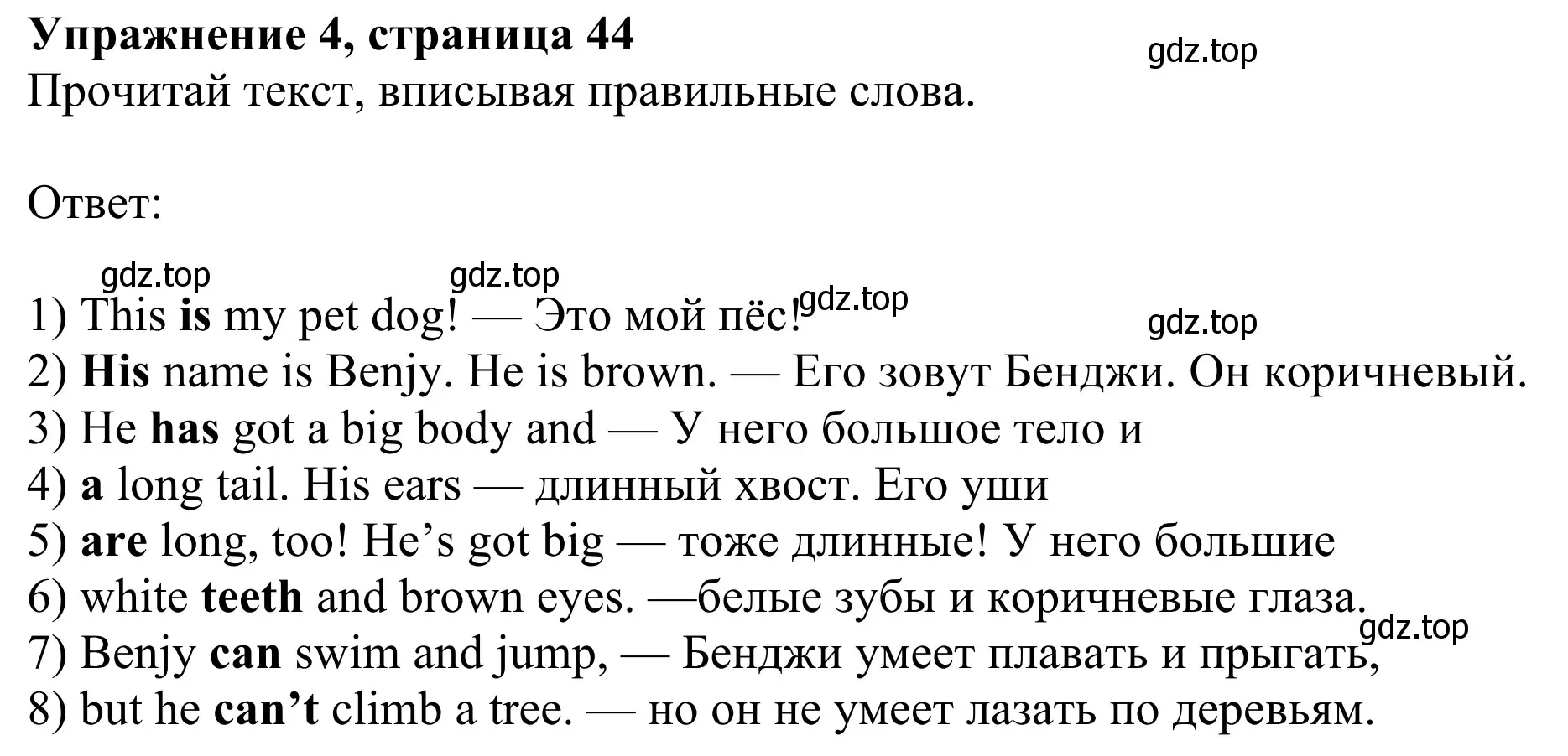 Решение 2. номер 4 (страница 45) гдз по английскому языку 3 класс Быкова, Дули, рабочая тетрадь