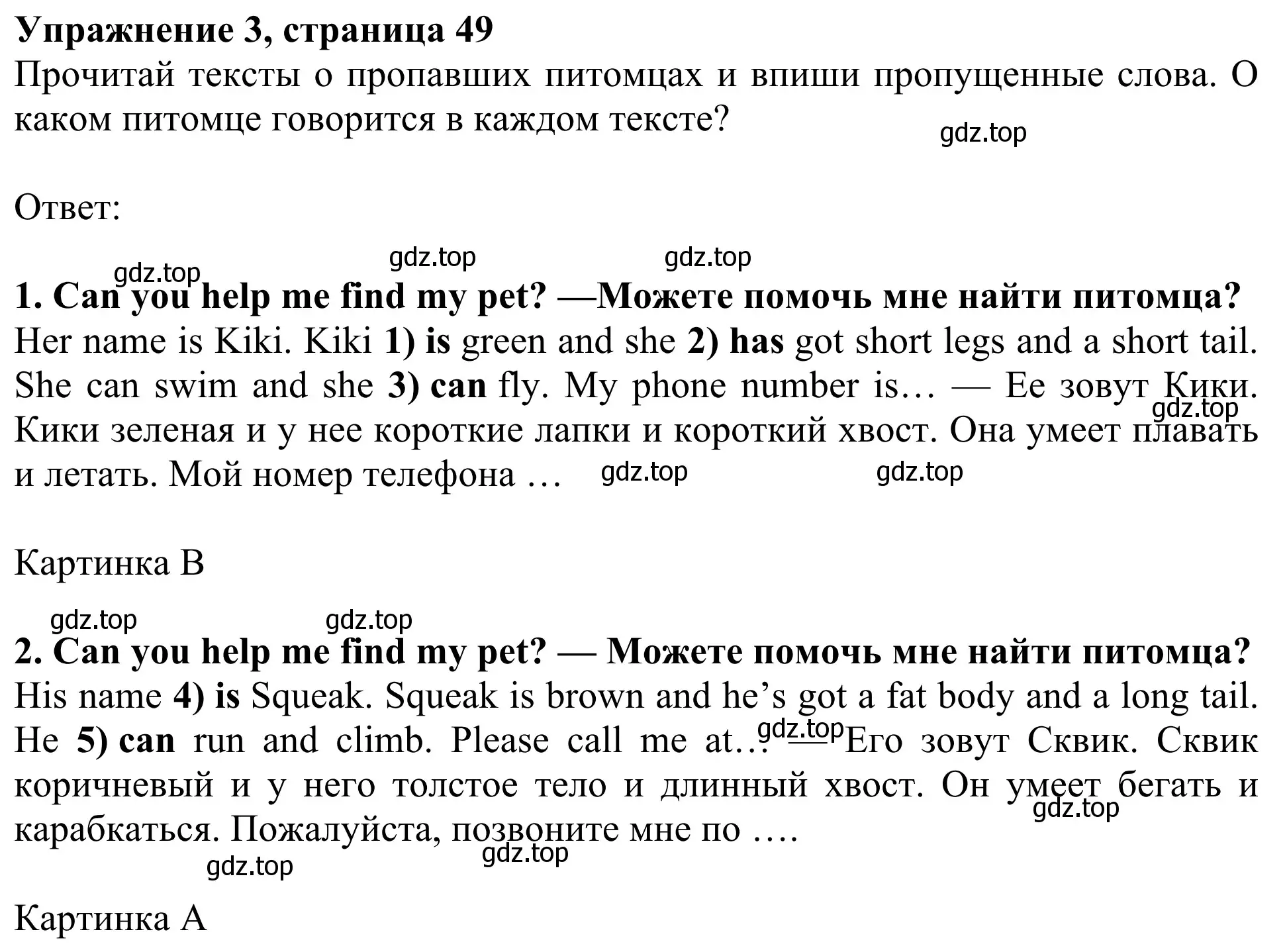 Решение 2. номер 3 (страница 49) гдз по английскому языку 3 класс Быкова, Дули, рабочая тетрадь