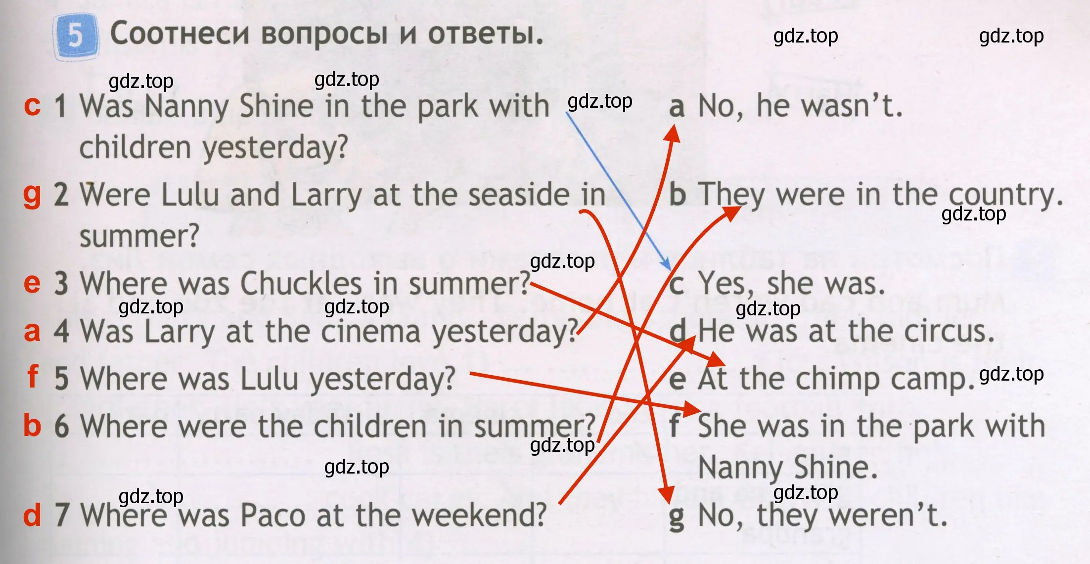 Решение 3. номер 5 (страница 19) гдз по английскому языку 3 класс Быкова, Дули, рабочая тетрадь