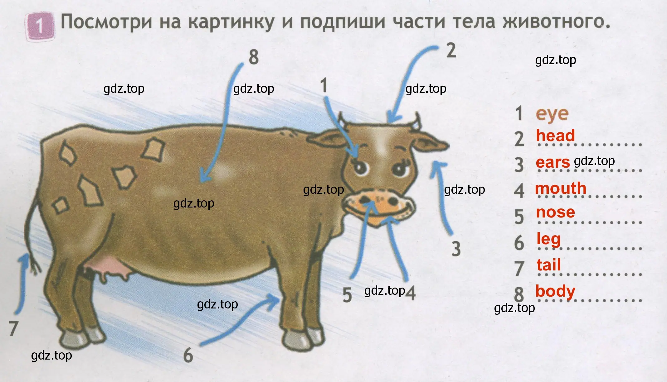 Решение 3. номер 1 (страница 42) гдз по английскому языку 3 класс Быкова, Дули, рабочая тетрадь