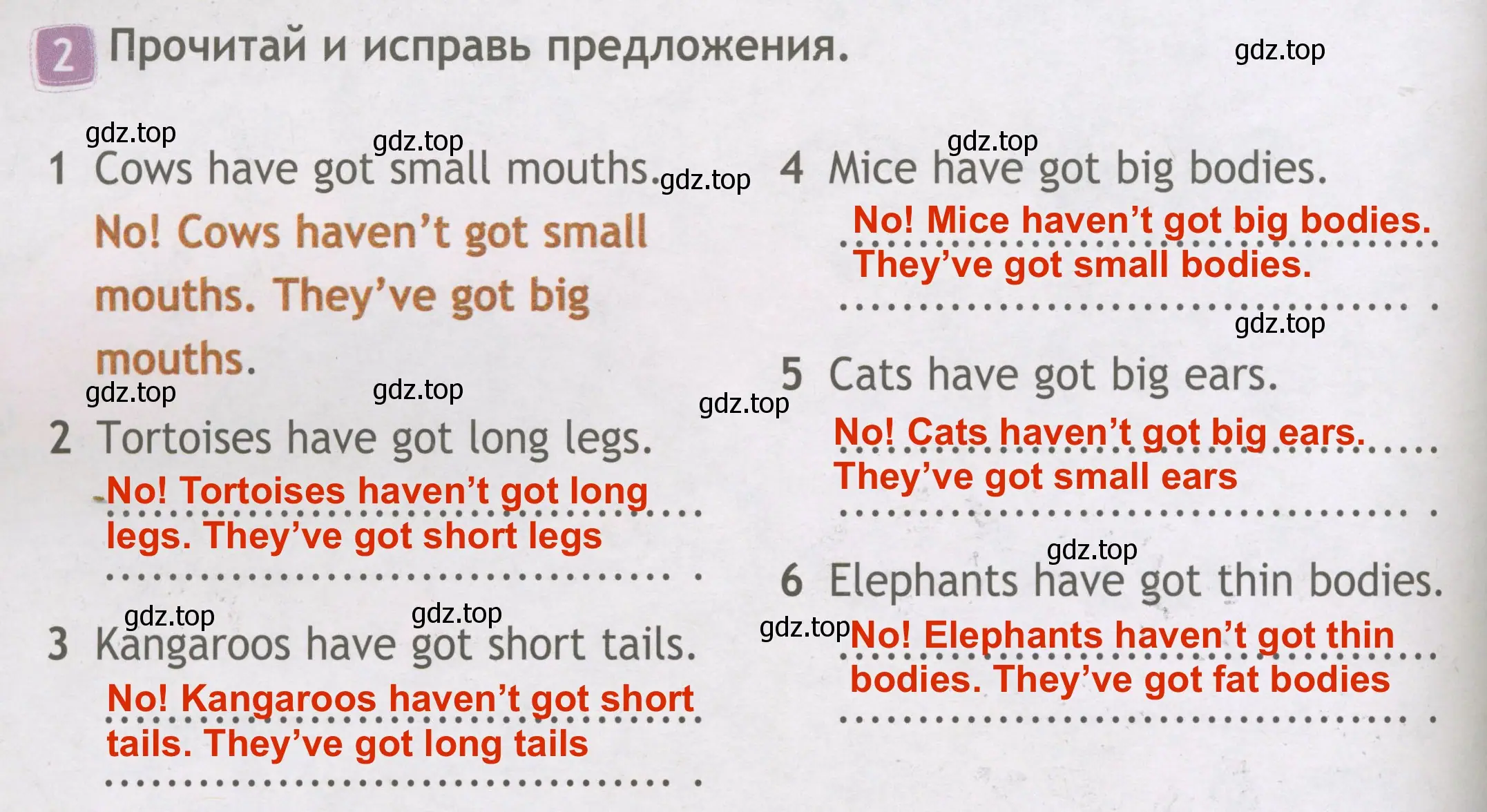 Решение 3. номер 2 (страница 42) гдз по английскому языку 3 класс Быкова, Дули, рабочая тетрадь