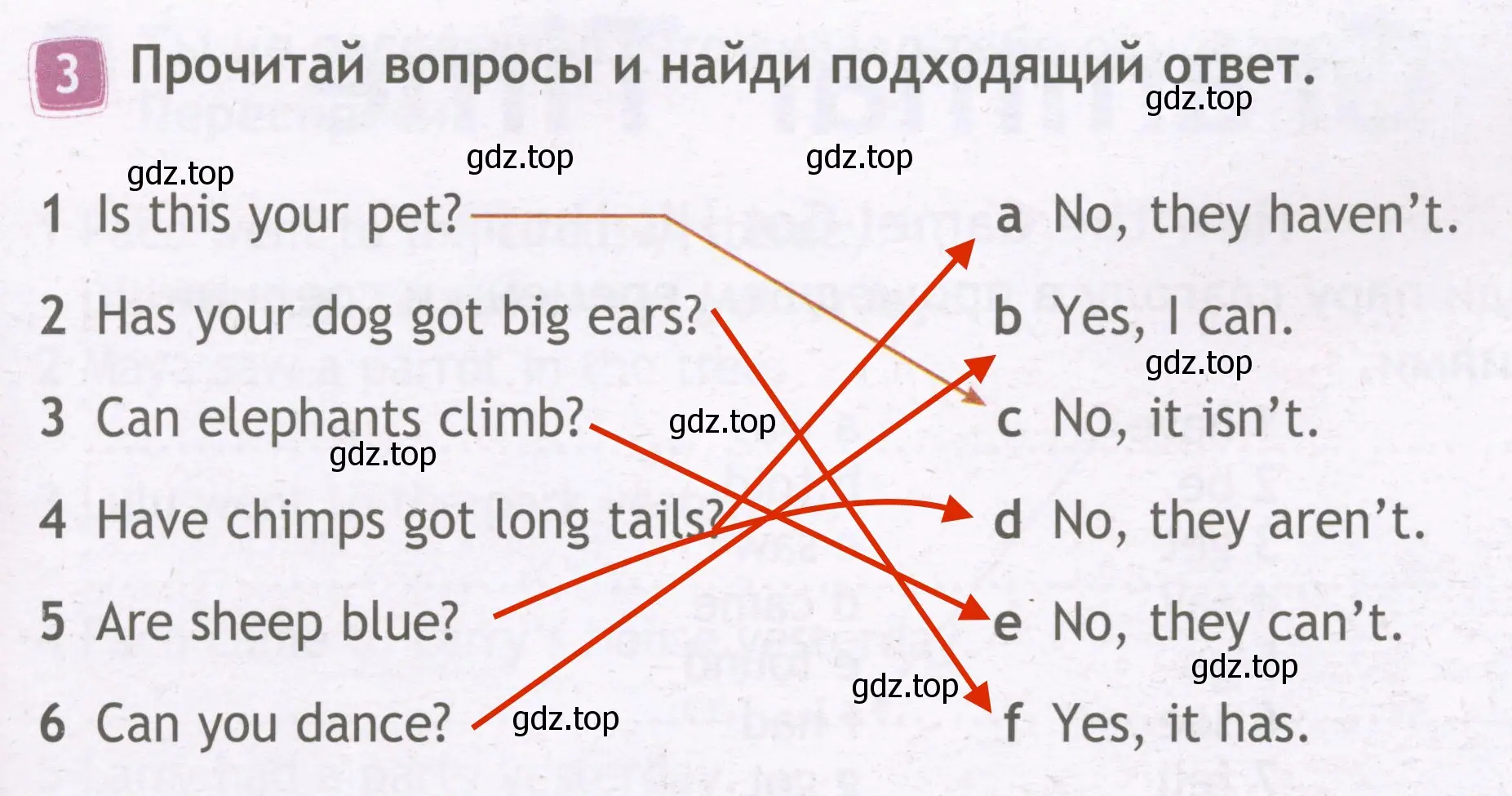 Решение 3. номер 3 (страница 45) гдз по английскому языку 3 класс Быкова, Дули, рабочая тетрадь