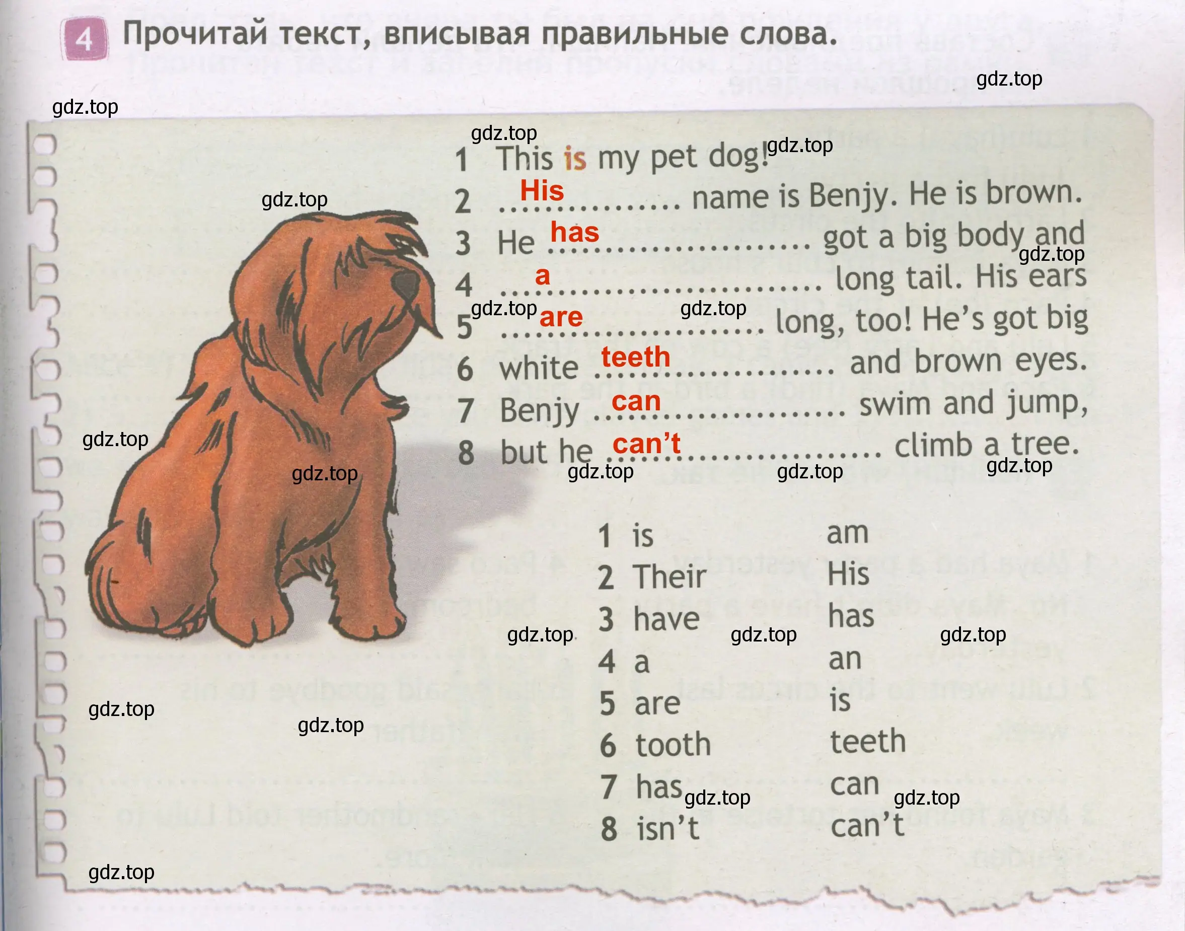 Решение 3. номер 4 (страница 45) гдз по английскому языку 3 класс Быкова, Дули, рабочая тетрадь