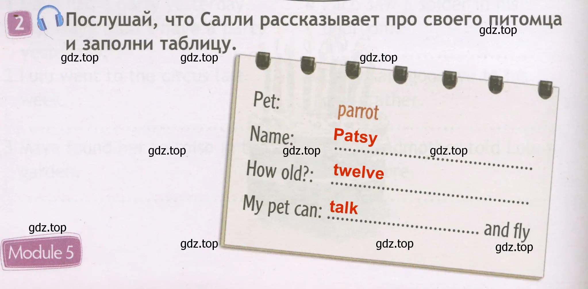 Решение 3. номер 2 (страница 48) гдз по английскому языку 3 класс Быкова, Дули, рабочая тетрадь