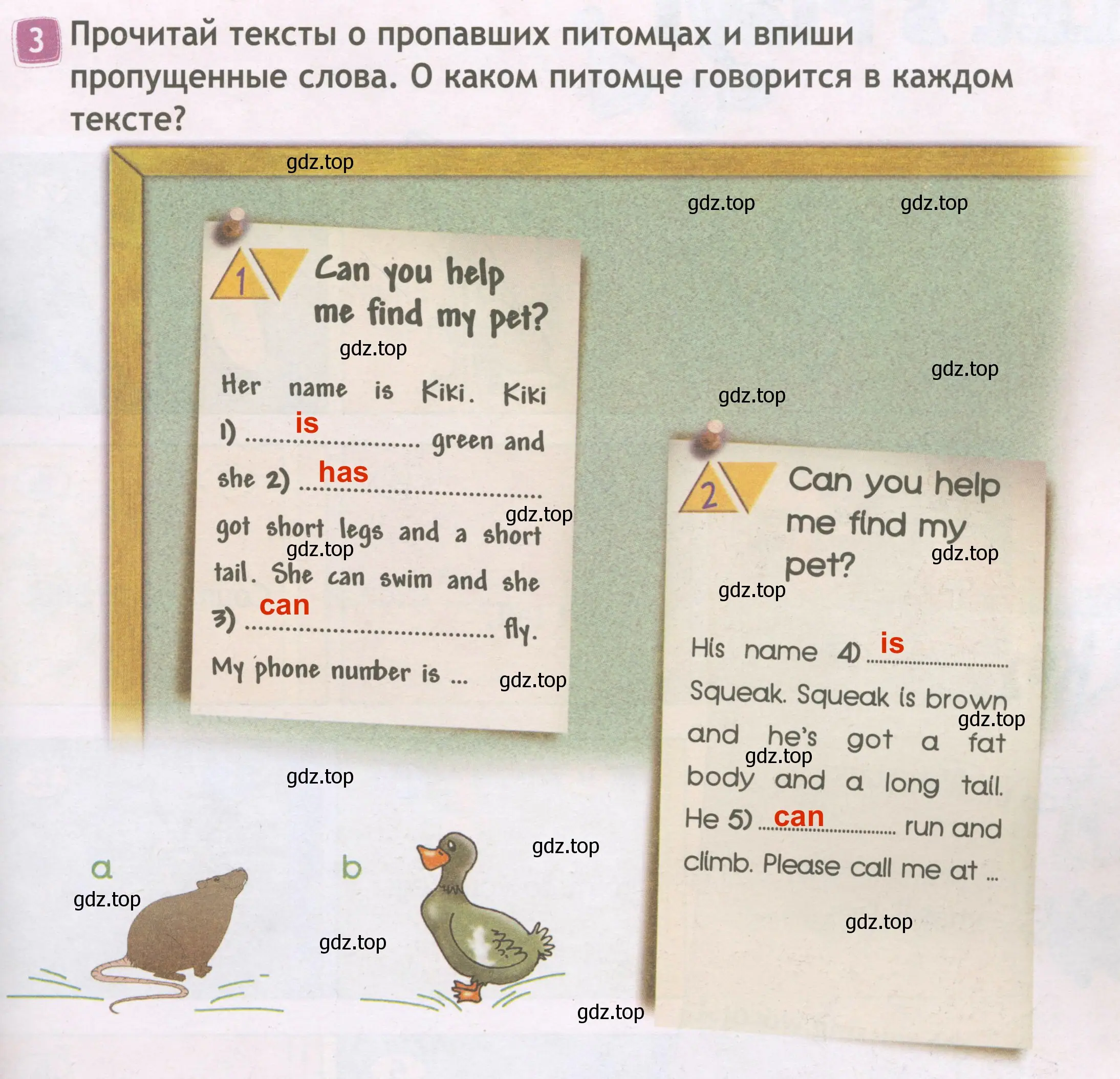 Решение 3. номер 3 (страница 49) гдз по английскому языку 3 класс Быкова, Дули, рабочая тетрадь