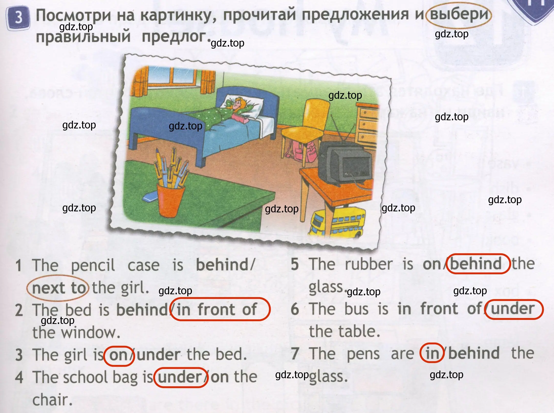 Решение 3. номер 3 (страница 53) гдз по английскому языку 3 класс Быкова, Дули, рабочая тетрадь