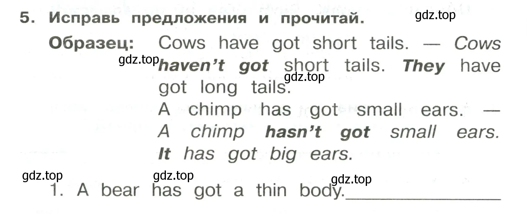 Условие номер 5 (страница 74) гдз по английскому языку 3 класс Быкова, Поспелова, сборник упражнений