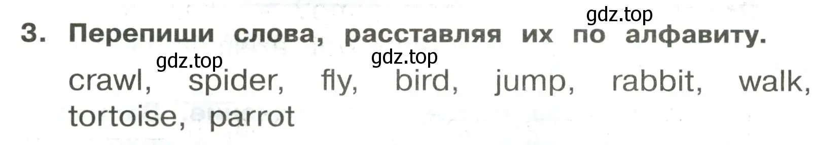 Условие номер 3 (страница 78) гдз по английскому языку 3 класс Быкова, Поспелова, сборник упражнений