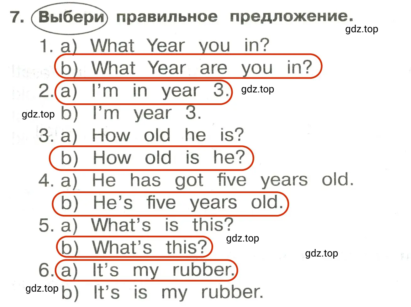 Решение 2. номер 7 (страница 25) гдз по английскому языку 3 класс Быкова, Поспелова, сборник упражнений