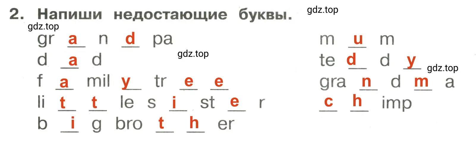 Решение 2. номер 2 (страница 28) гдз по английскому языку 3 класс Быкова, Поспелова, сборник упражнений