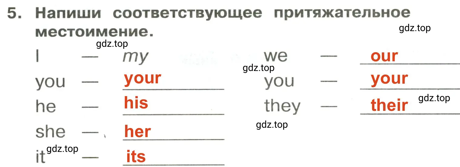 Решение 2. номер 5 (страница 29) гдз по английскому языку 3 класс Быкова, Поспелова, сборник упражнений