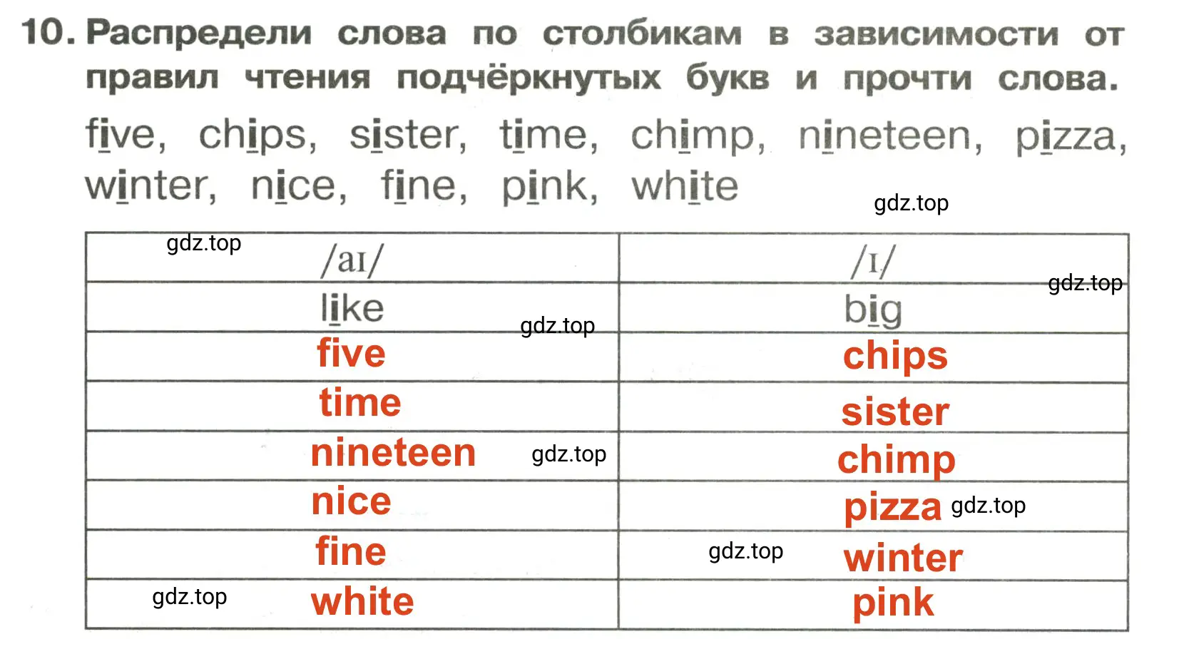 Решение 2. номер 10 (страница 46) гдз по английскому языку 3 класс Быкова, Поспелова, сборник упражнений