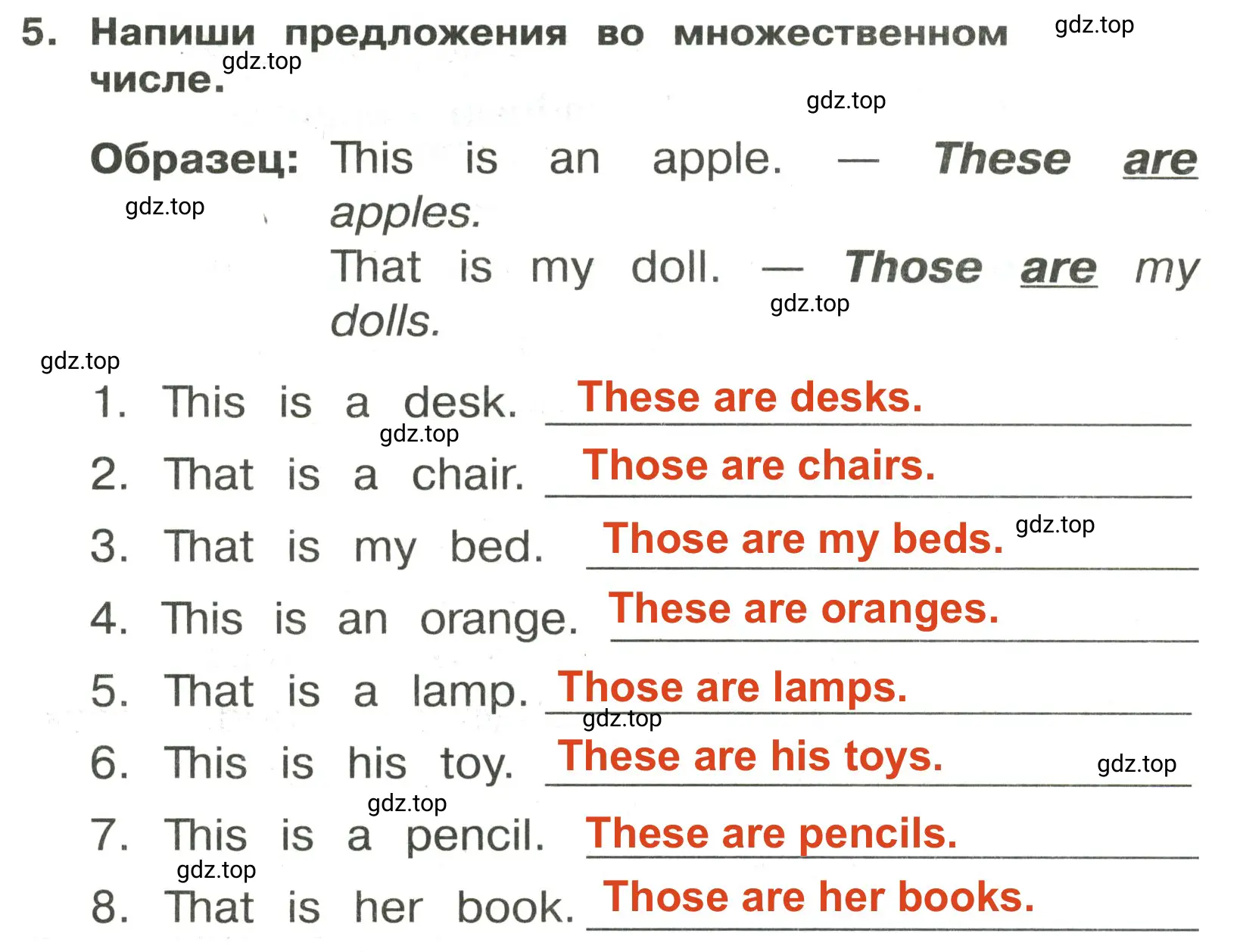 Решение 2. номер 5 (страница 63) гдз по английскому языку 3 класс Быкова, Поспелова, сборник упражнений