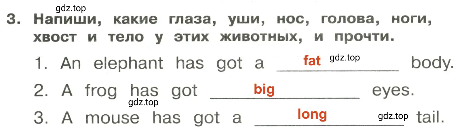 Решение 2. номер 3 (страница 73) гдз по английскому языку 3 класс Быкова, Поспелова, сборник упражнений