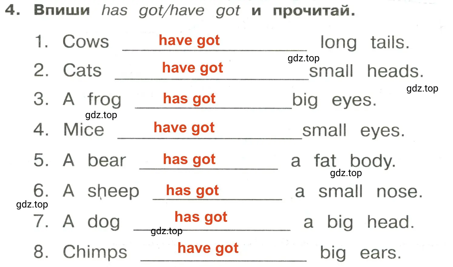 Решение 2. номер 4 (страница 74) гдз по английскому языку 3 класс Быкова, Поспелова, сборник упражнений