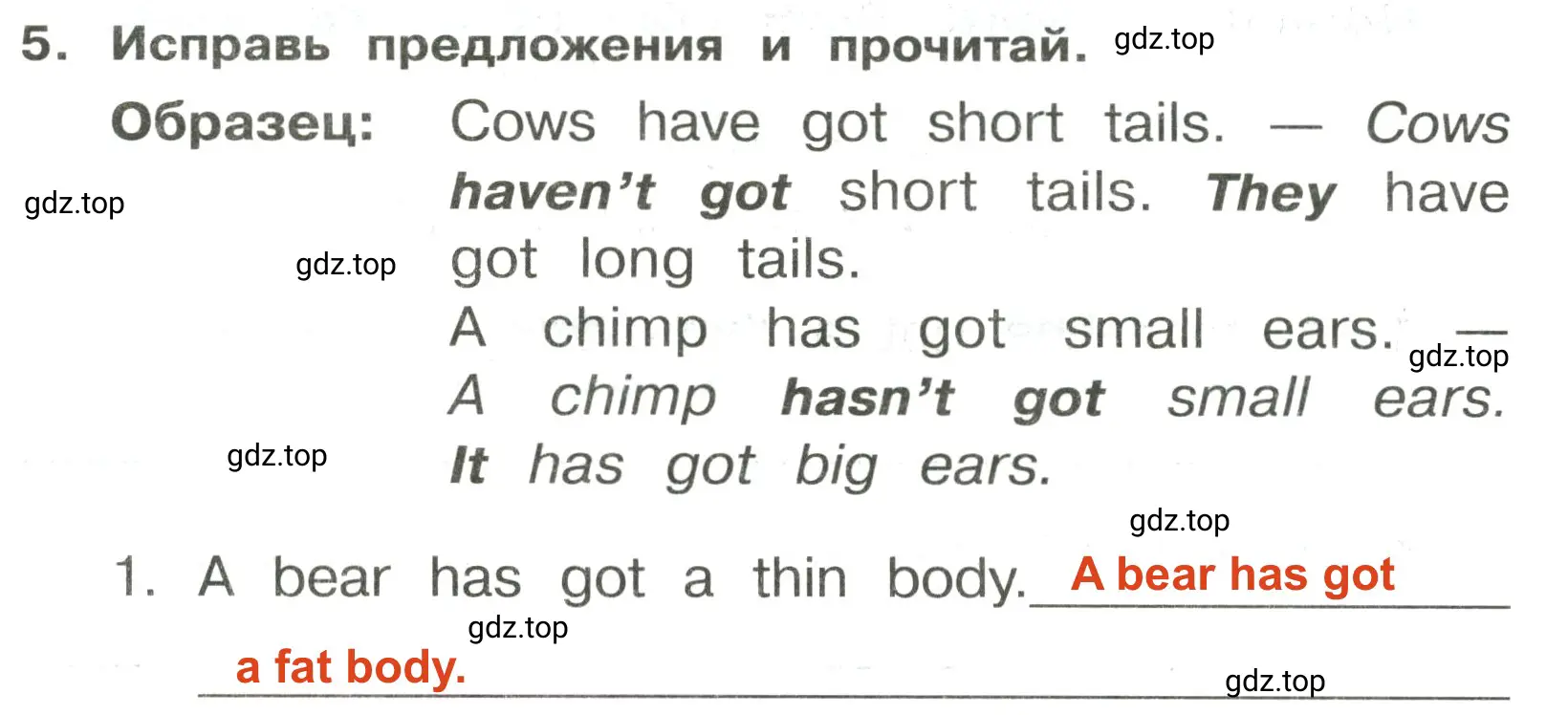 Решение 2. номер 5 (страница 74) гдз по английскому языку 3 класс Быкова, Поспелова, сборник упражнений