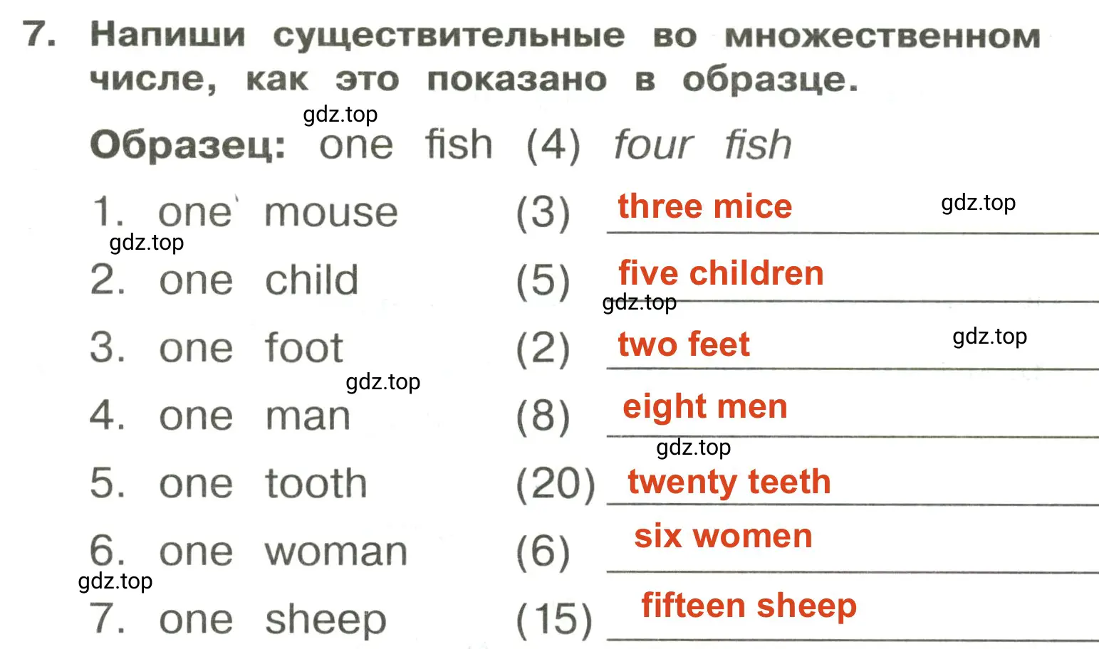 Решение 2. номер 7 (страница 76) гдз по английскому языку 3 класс Быкова, Поспелова, сборник упражнений