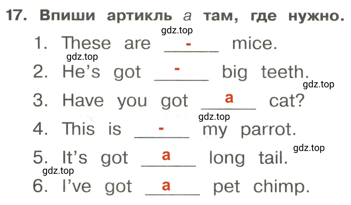 Решение 2. номер 17 (страница 86) гдз по английскому языку 3 класс Быкова, Поспелова, сборник упражнений