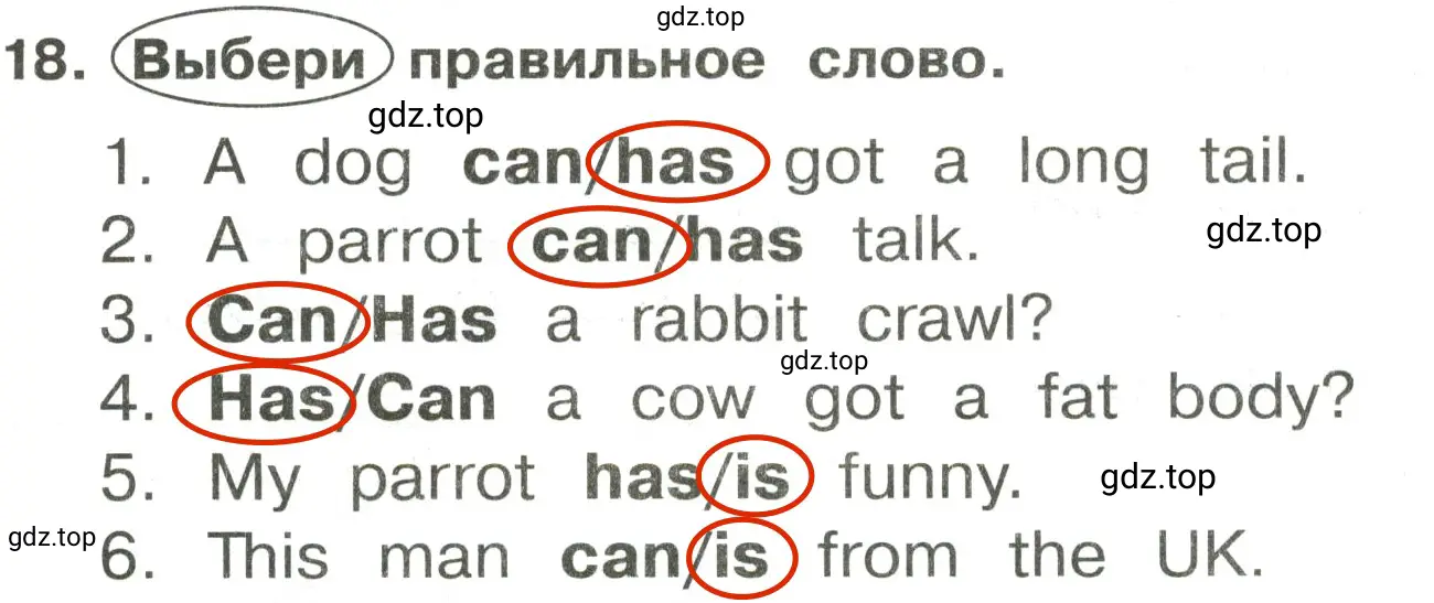 Решение 2. номер 18 (страница 87) гдз по английскому языку 3 класс Быкова, Поспелова, сборник упражнений