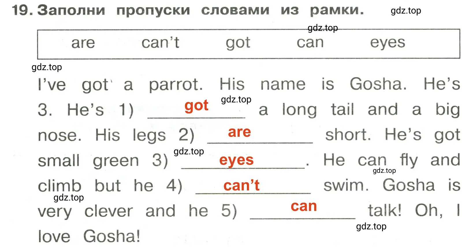 Решение 2. номер 19 (страница 87) гдз по английскому языку 3 класс Быкова, Поспелова, сборник упражнений