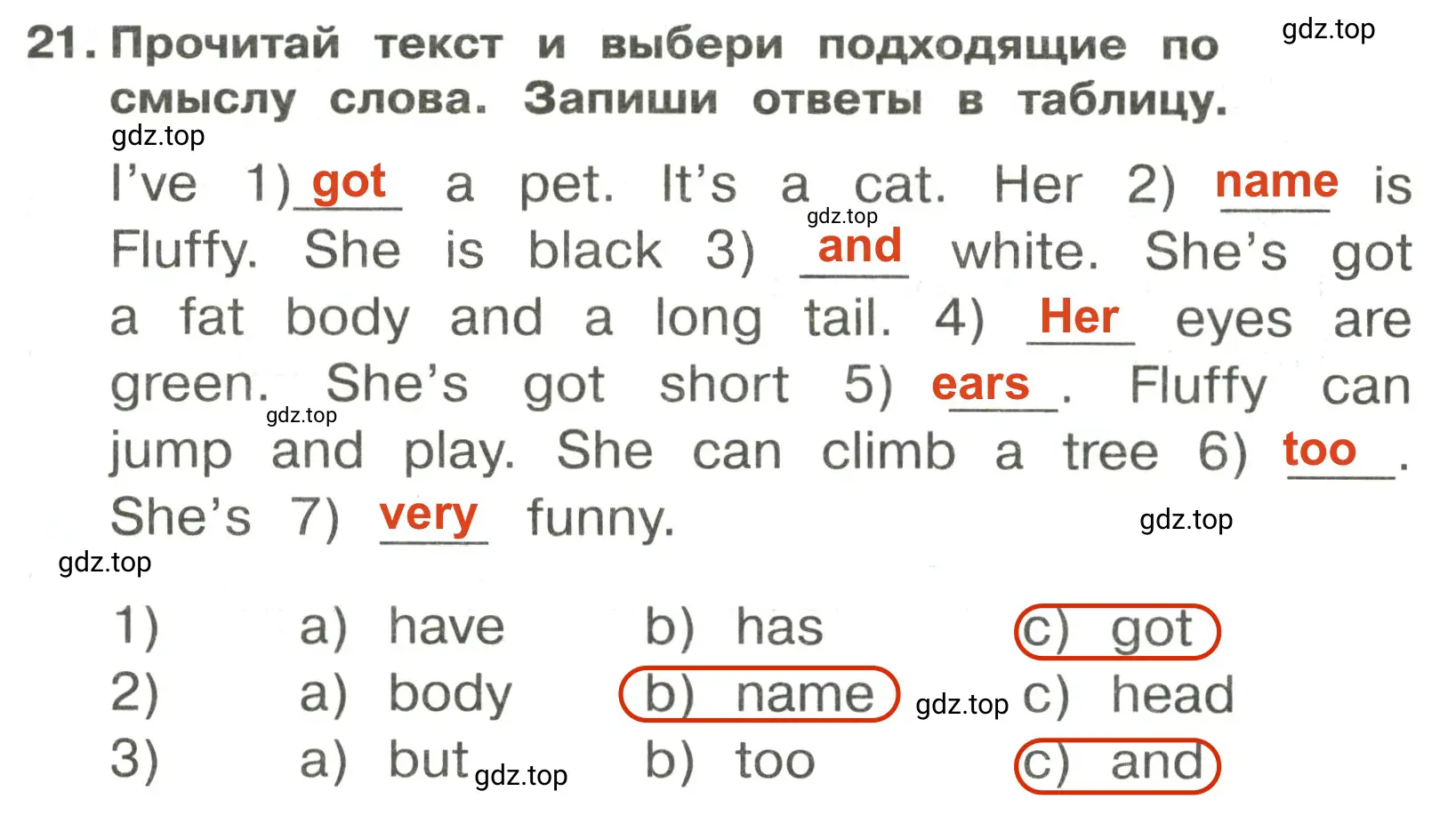 Решение 2. номер 21 (страница 88) гдз по английскому языку 3 класс Быкова, Поспелова, сборник упражнений