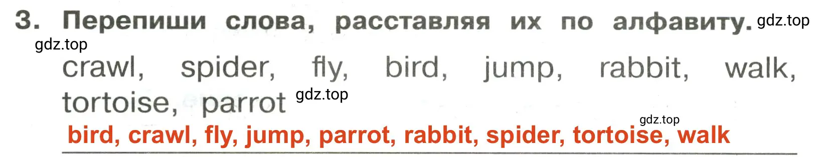 Решение 2. номер 3 (страница 78) гдз по английскому языку 3 класс Быкова, Поспелова, сборник упражнений