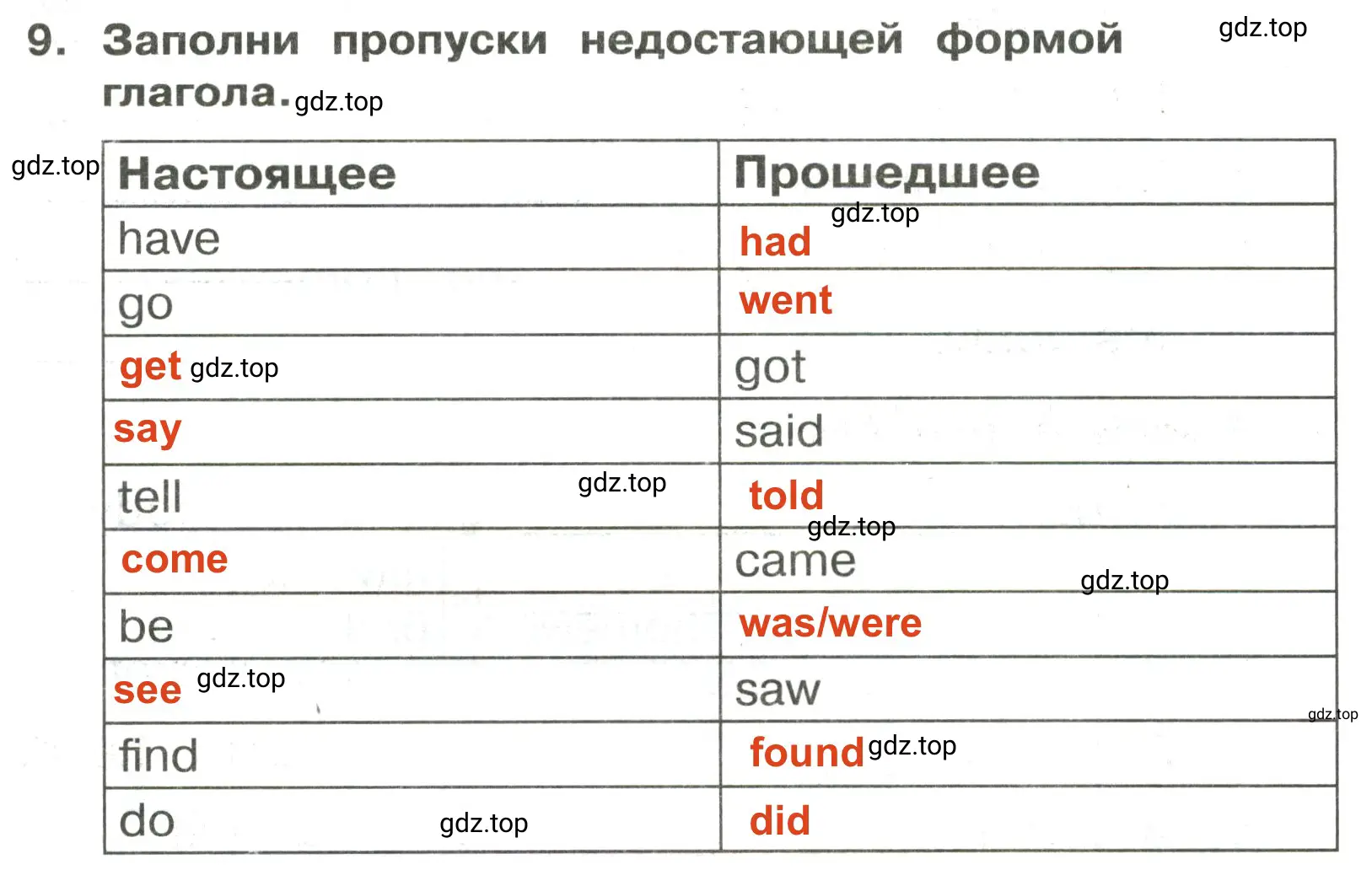 Решение 2. номер 9 (страница 81) гдз по английскому языку 3 класс Быкова, Поспелова, сборник упражнений