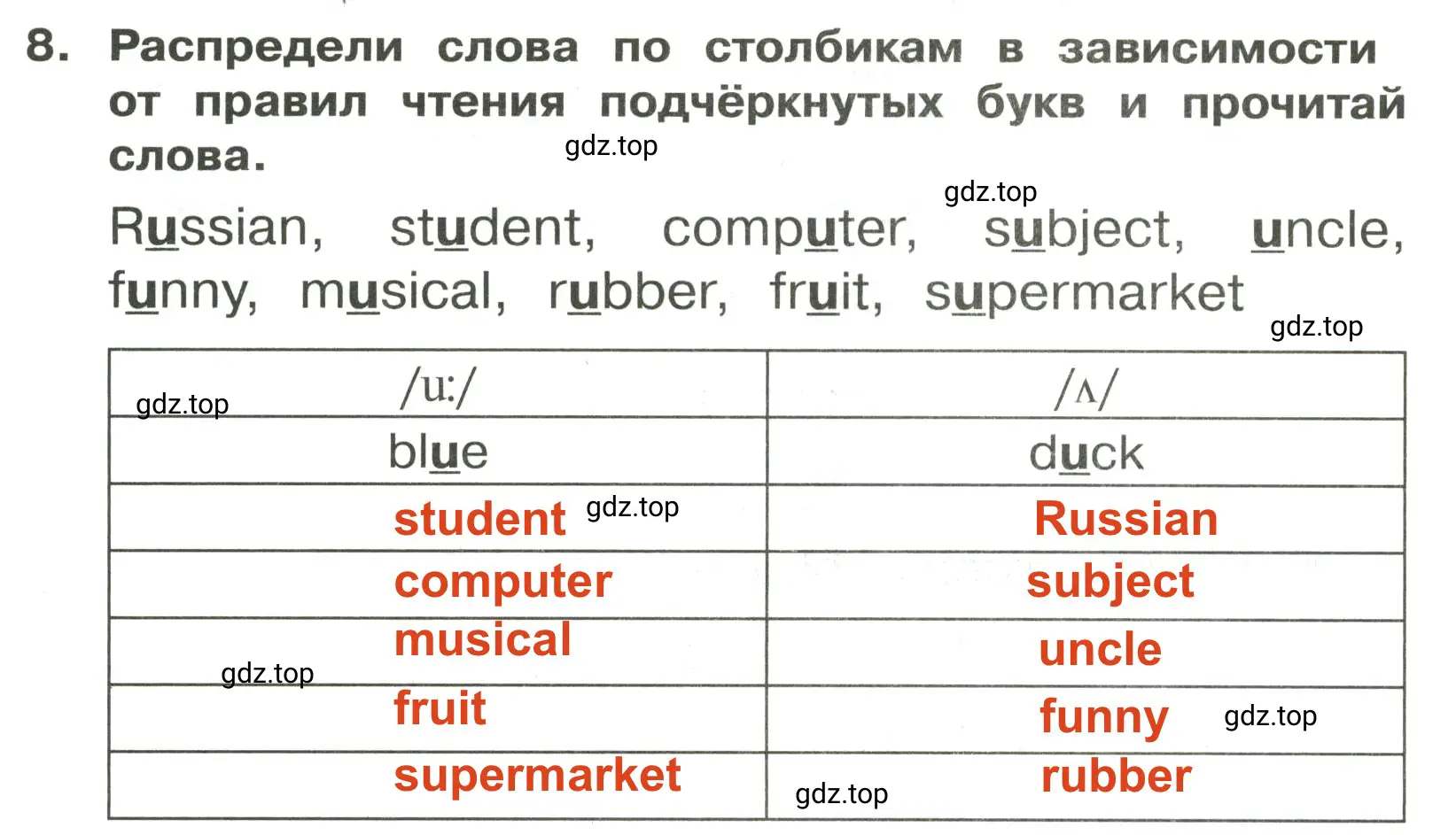 Решение 2. номер 8 (страница 93) гдз по английскому языку 3 класс Быкова, Поспелова, сборник упражнений