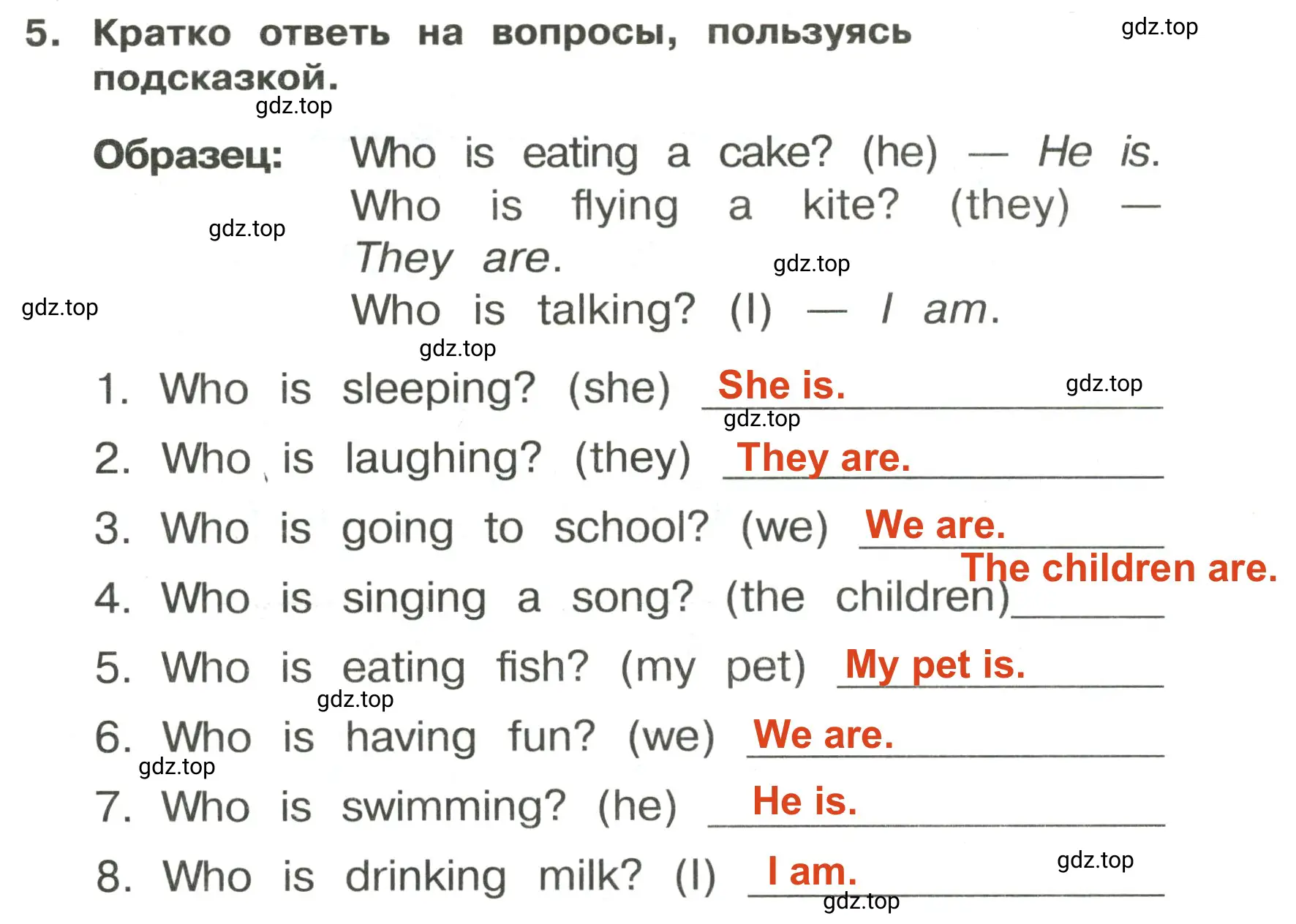 Решение 2. номер 5 (страница 119) гдз по английскому языку 3 класс Быкова, Поспелова, сборник упражнений