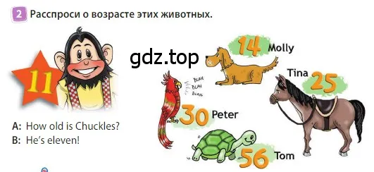 Условие номер 2 (страница 12) гдз по английскому языку 3 класс Быкова, Дули, учебник 2 часть