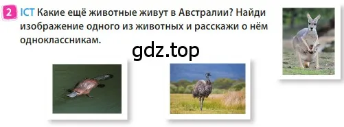 Условие номер 2 (страница 81) гдз по английскому языку 3 класс Быкова, Дули, учебник 2 часть