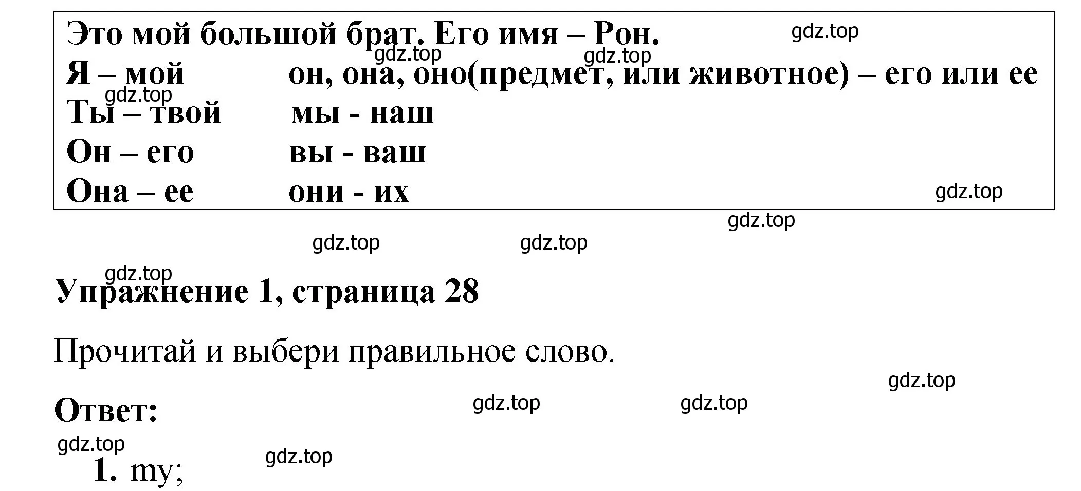 Решение номер 1 (страница 28) гдз по английскому языку 3 класс Быкова, Дули, учебник 1 часть