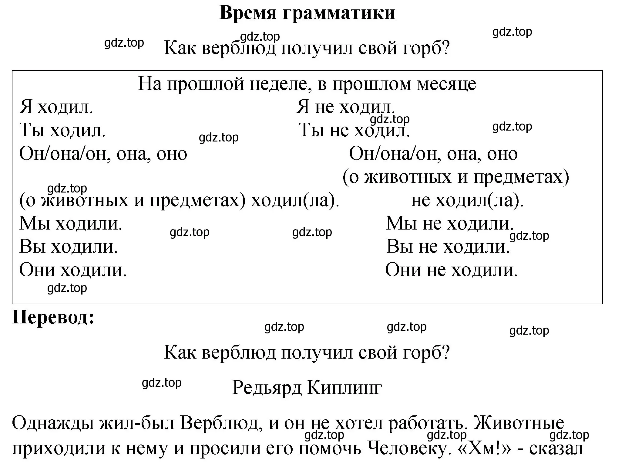 Решение номер 1 (страница 19) гдз по английскому языку 3 класс Быкова, Дули, учебник 2 часть