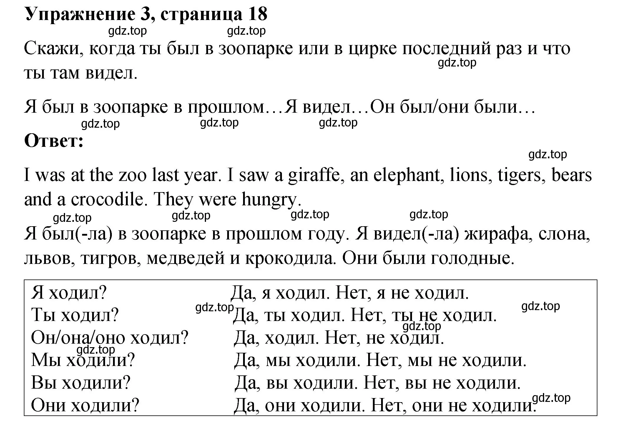 Решение номер 3 (страница 19) гдз по английскому языку 3 класс Быкова, Дули, учебник 2 часть