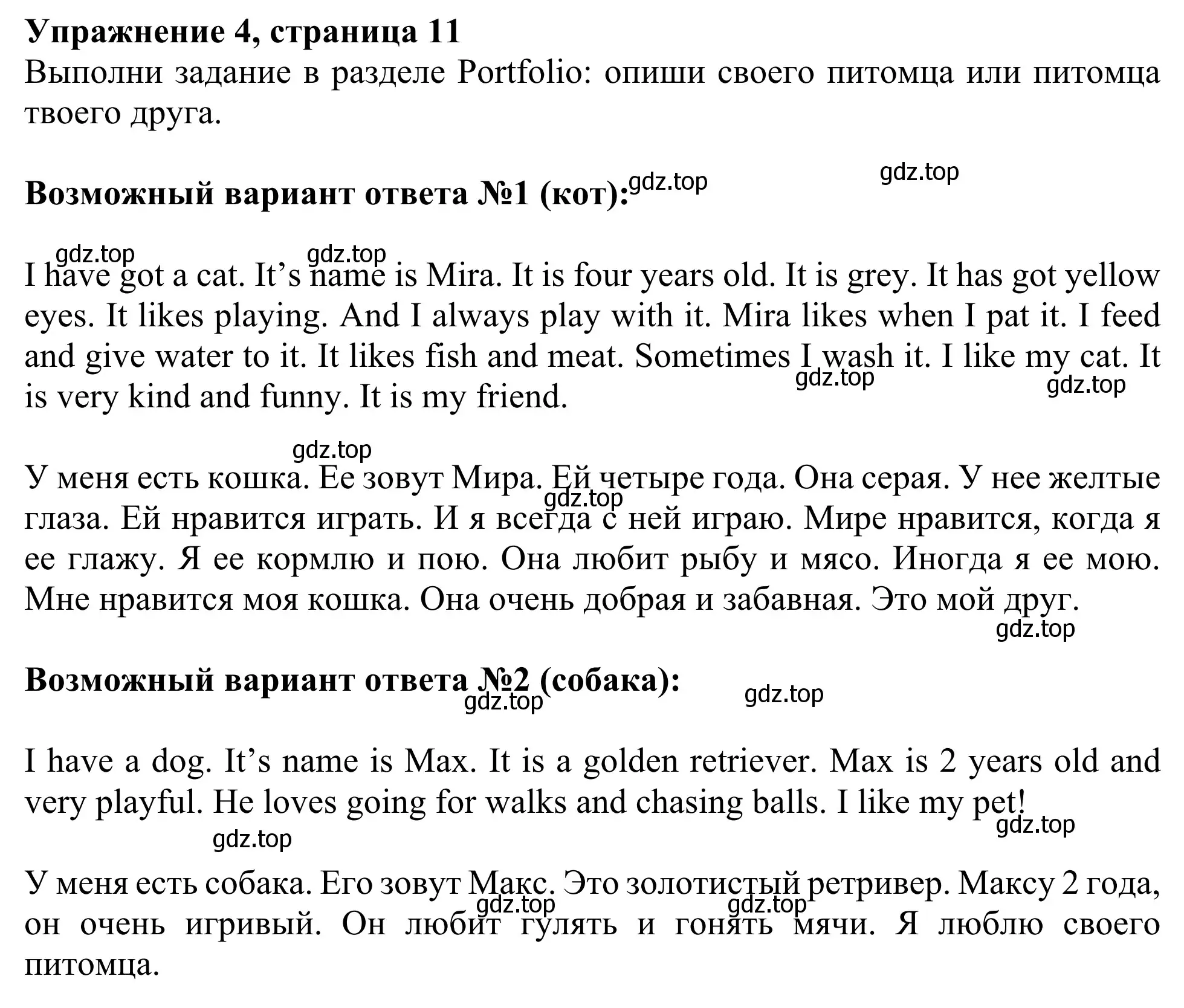 Решение 2. номер 4 (страница 11) гдз по английскому языку 3 класс Быкова, Дули, учебник 2 часть