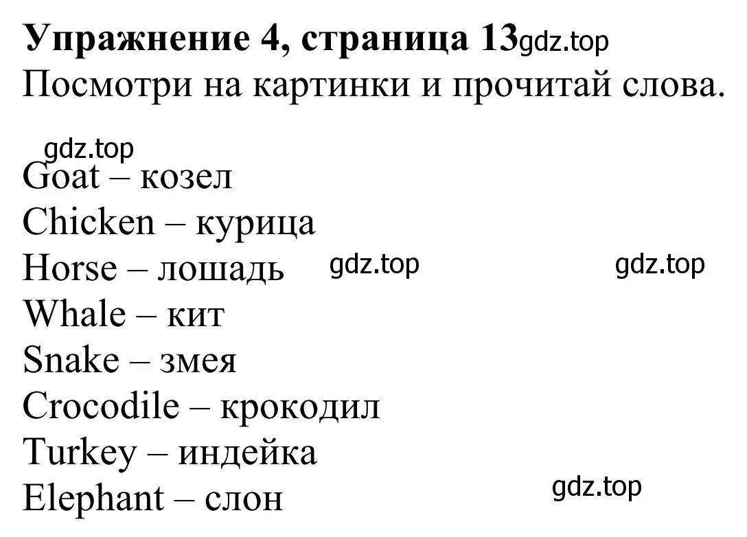 Решение 2. номер 4 (страница 13) гдз по английскому языку 3 класс Быкова, Дули, учебник 2 часть