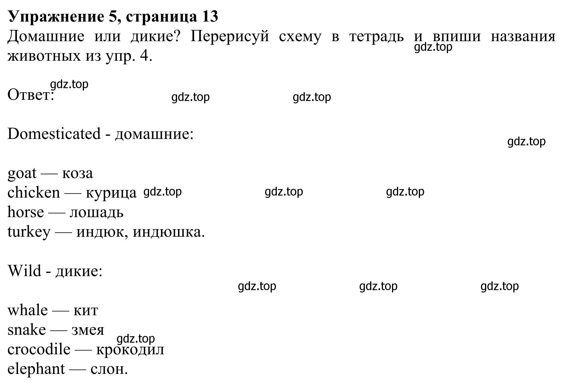 Решение 2. номер 5 (страница 13) гдз по английскому языку 3 класс Быкова, Дули, учебник 2 часть