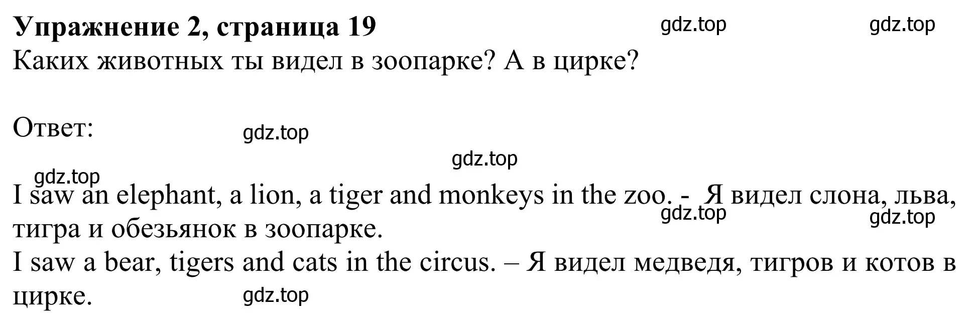 Решение 2. номер 2 (страница 19) гдз по английскому языку 3 класс Быкова, Дули, учебник 2 часть