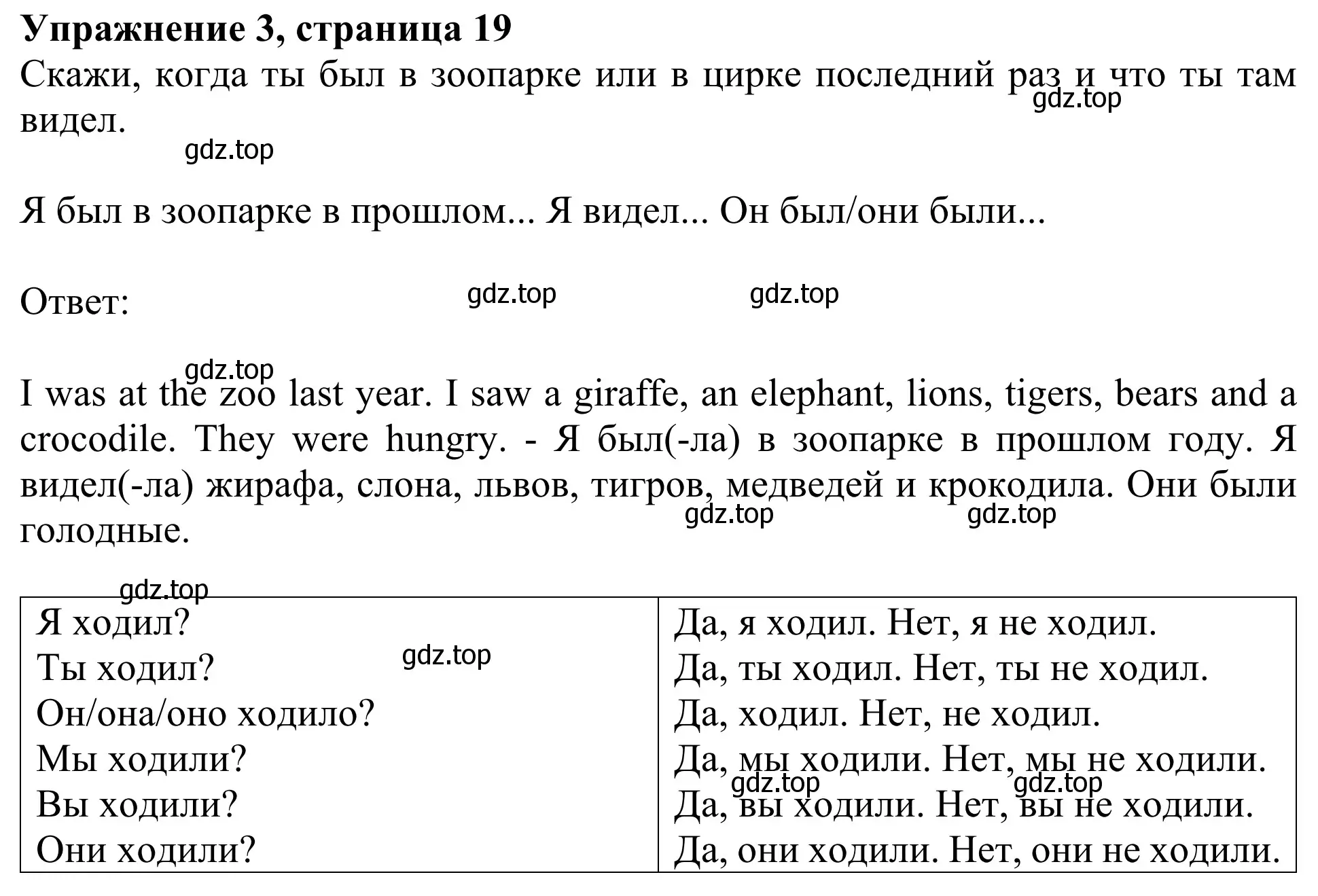 Решение 2. номер 3 (страница 19) гдз по английскому языку 3 класс Быкова, Дули, учебник 2 часть