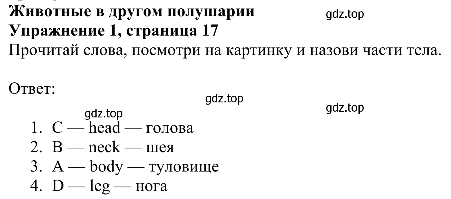 Решение 2. номер 1 (страница 17) гдз по английскому языку 3 класс Быкова, Дули, учебник 2 часть