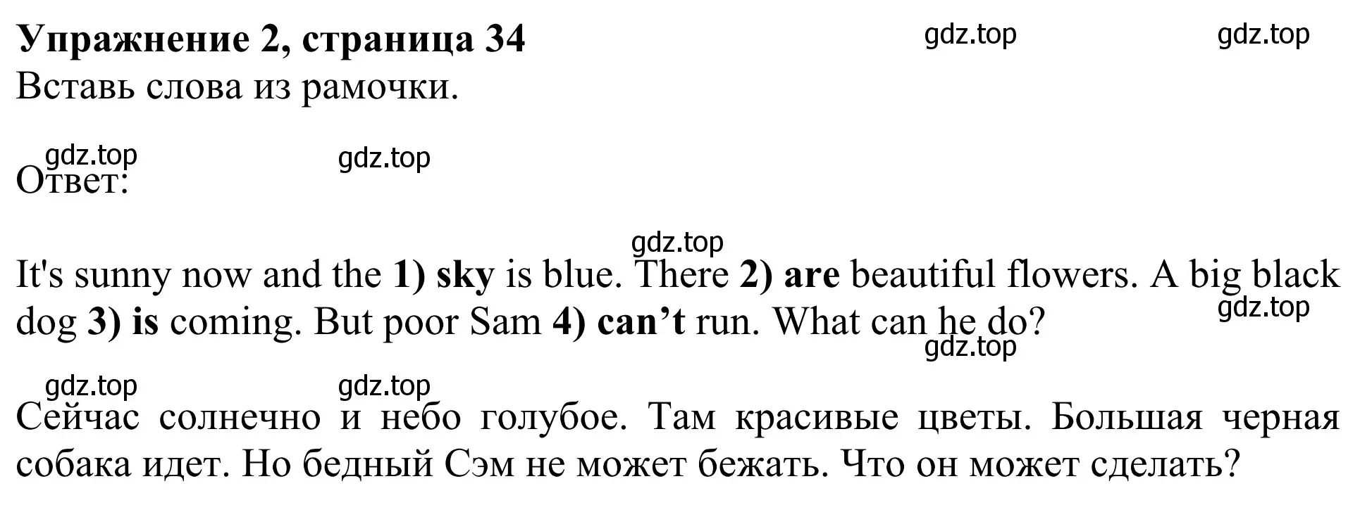 Решение 2. номер 2 (страница 34) гдз по английскому языку 3 класс Быкова, Дули, учебник 2 часть