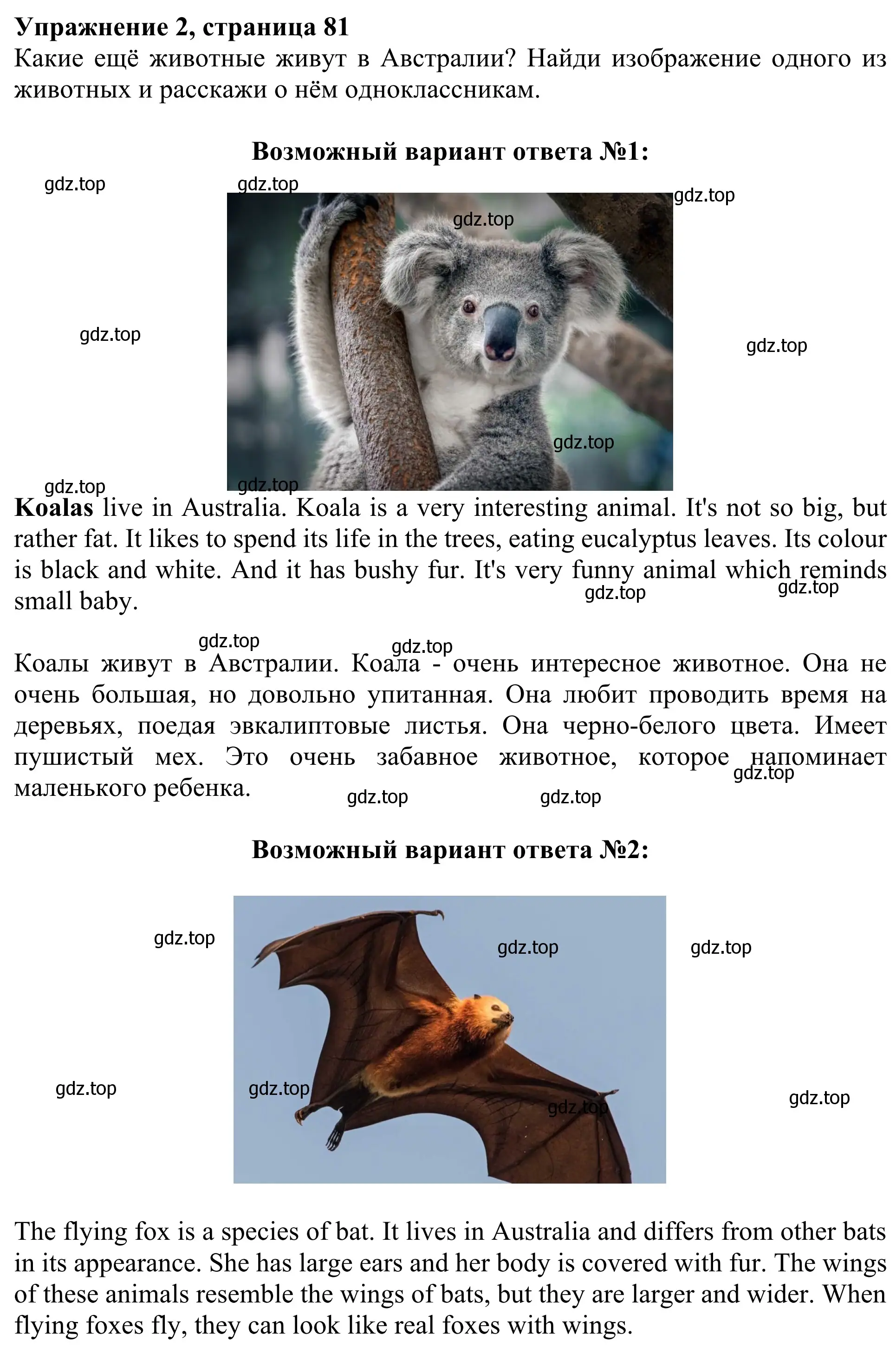 Решение 2. номер 2 (страница 81) гдз по английскому языку 3 класс Быкова, Дули, учебник 2 часть