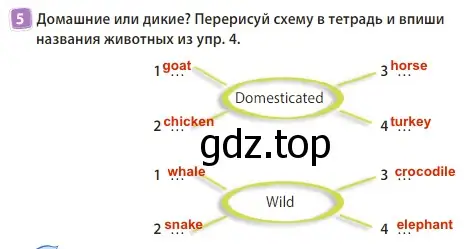 Решение 3. номер 5 (страница 13) гдз по английскому языку 3 класс Быкова, Дули, учебник 2 часть