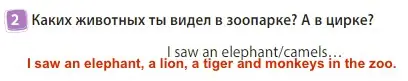 Решение 3. номер 2 (страница 19) гдз по английскому языку 3 класс Быкова, Дули, учебник 2 часть