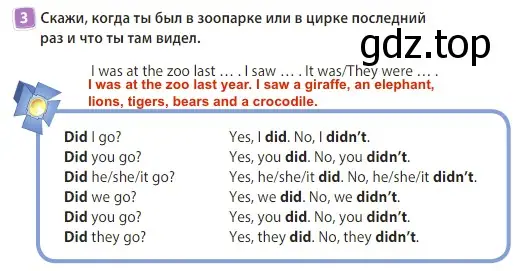 Решение 3. номер 3 (страница 19) гдз по английскому языку 3 класс Быкова, Дули, учебник 2 часть