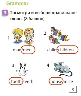 Решение 3. номер 3 (страница 20) гдз по английскому языку 3 класс Быкова, Дули, учебник 2 часть