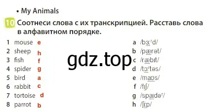 Решение 3. номер 10 (страница 86) гдз по английскому языку 3 класс Быкова, Дули, учебник 2 часть