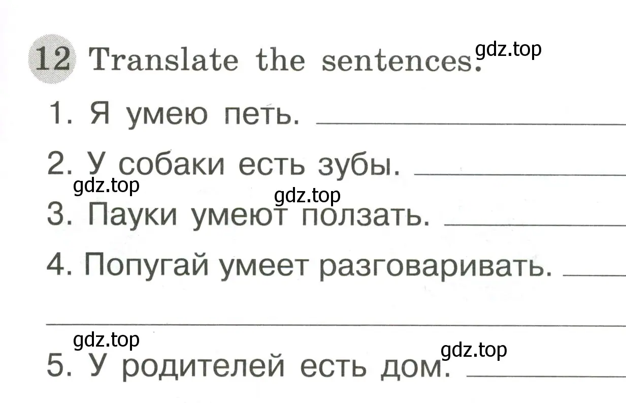 Условие номер 12 (страница 55) гдз по английскому языку 3 класс Юшина, грамматический тренажёр